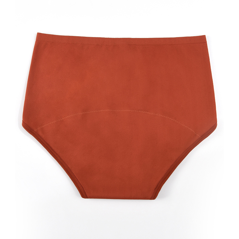 Women’s Seamless Period Pantie - Period Panty Absorbent avaliação e preço