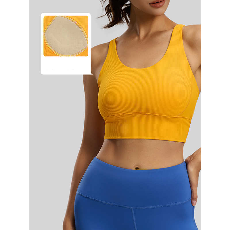 2026 New Women Ribbed High Imp - Sports Bra High Impact avaliação e preço