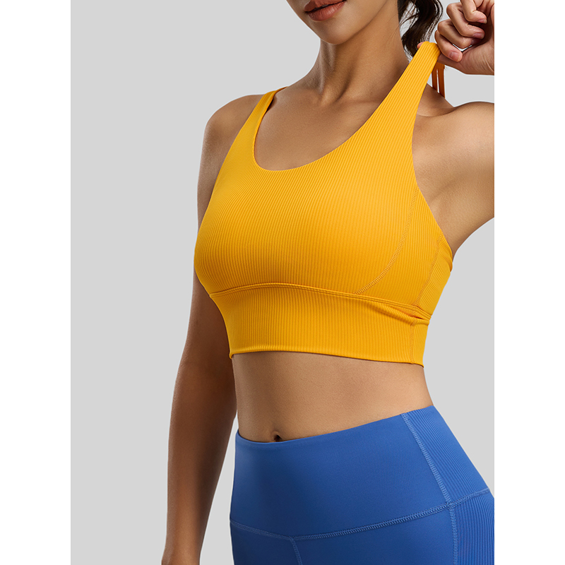 2026 New Women Ribbed High Imp - Sports Bra High Impact avaliação e preço